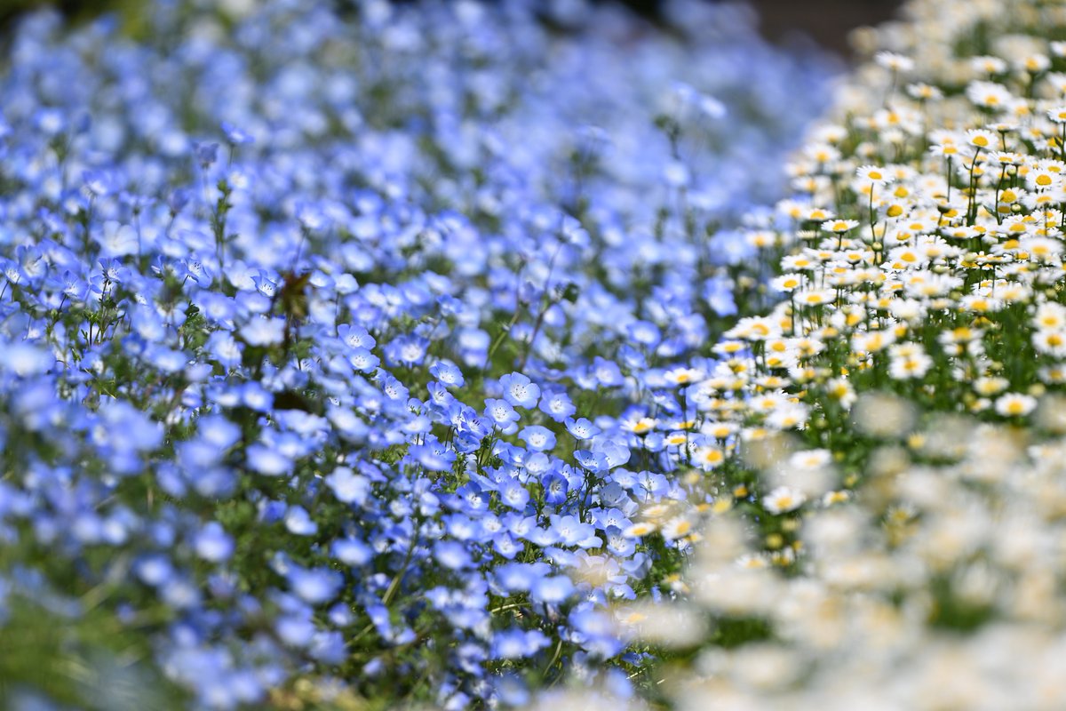 びすた～り tweet media