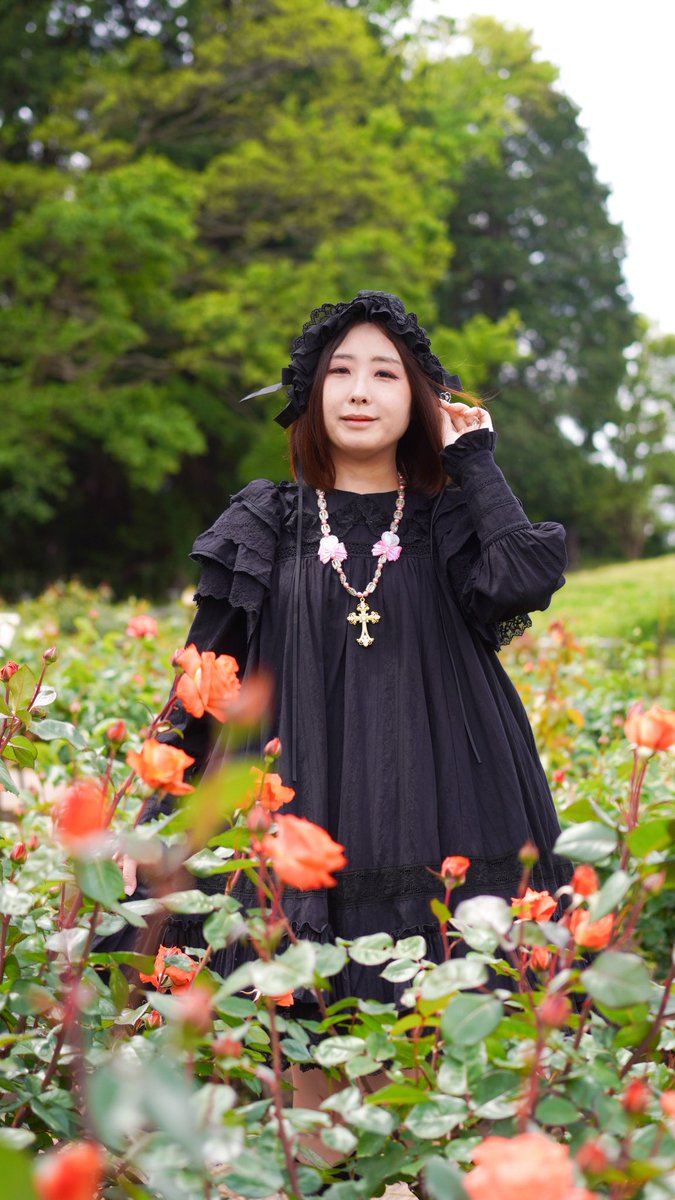 きのう、バラもちょっとだけ咲いてた

📸 <a href="/mfmfPetilil2/">かどっちょ（カムラ）</a>