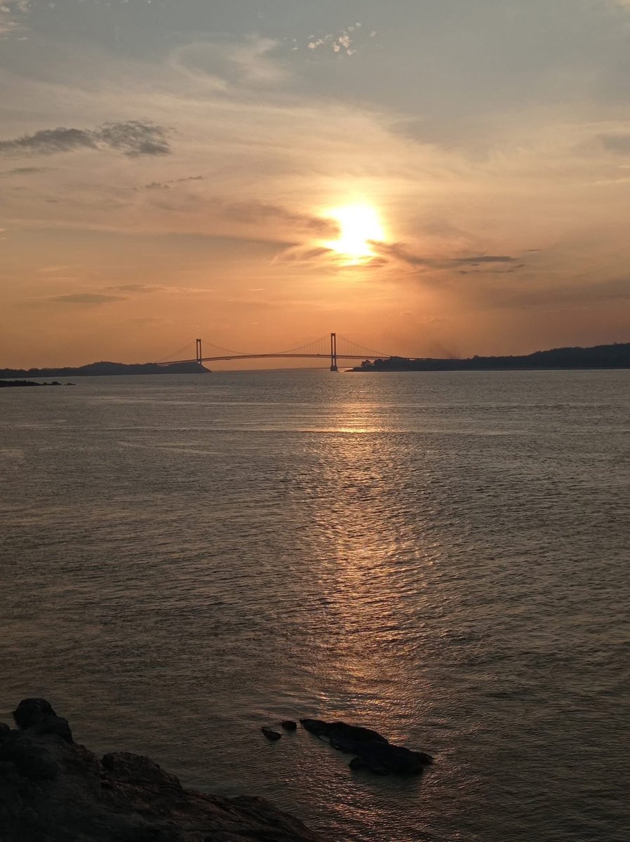 Gianluca Cocconcelli Art tweet media