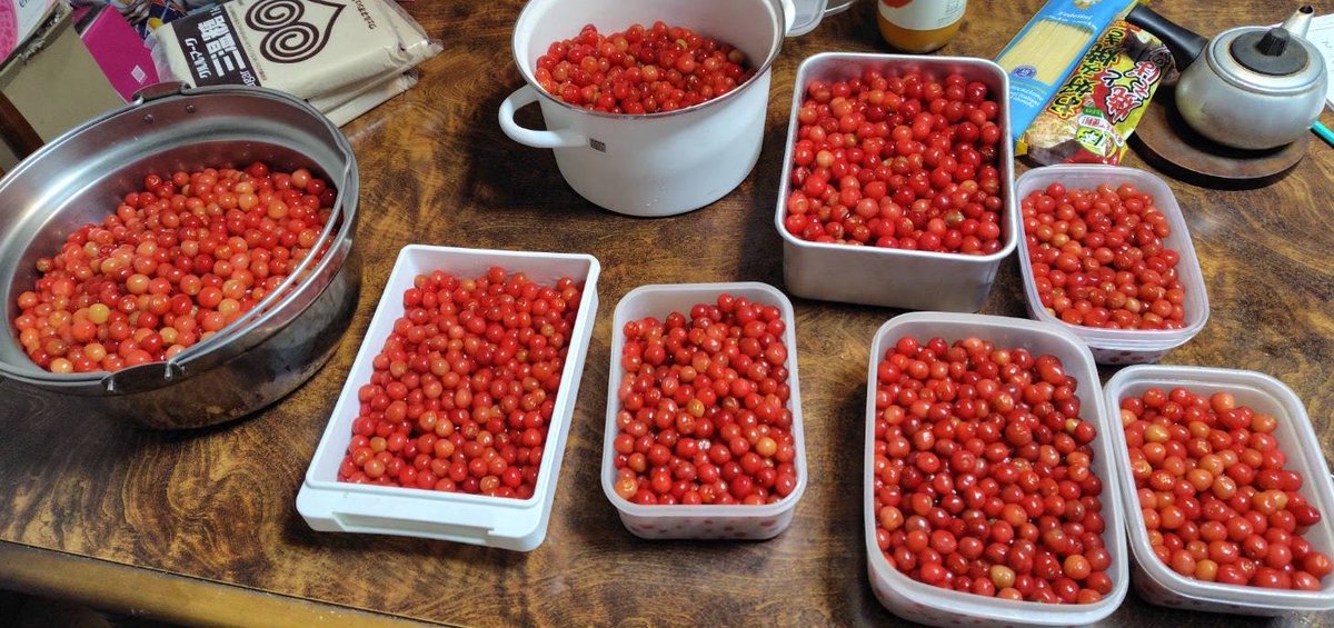 きみどり☺︎お仕事募集中🎨 tweet media