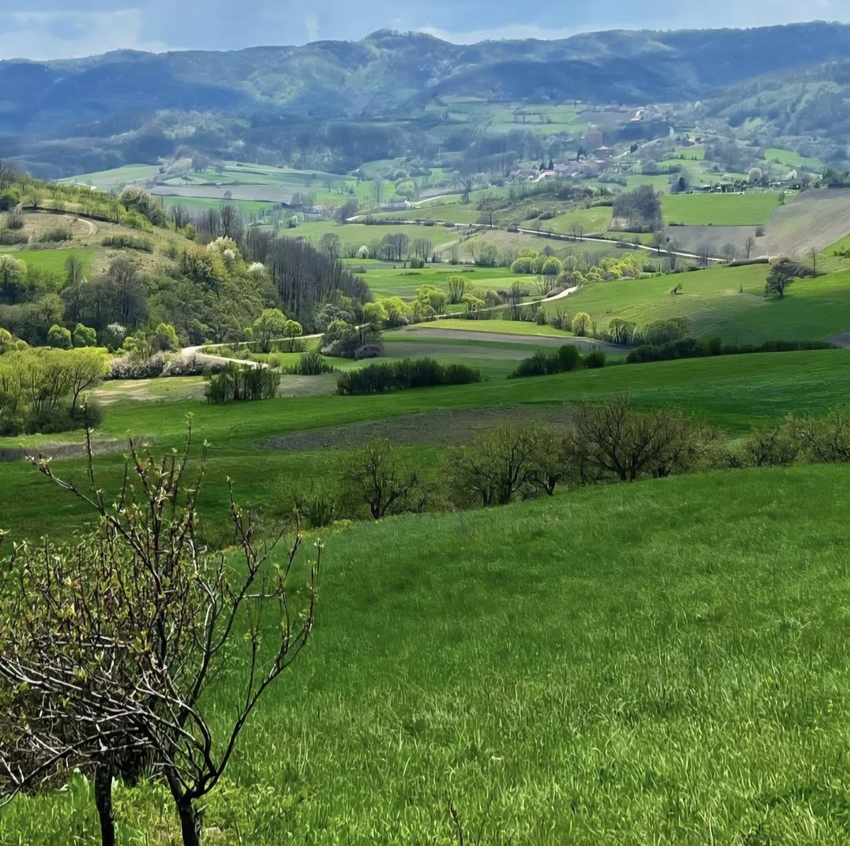 Marina🇷🇸☦🇷🇸 tweet media