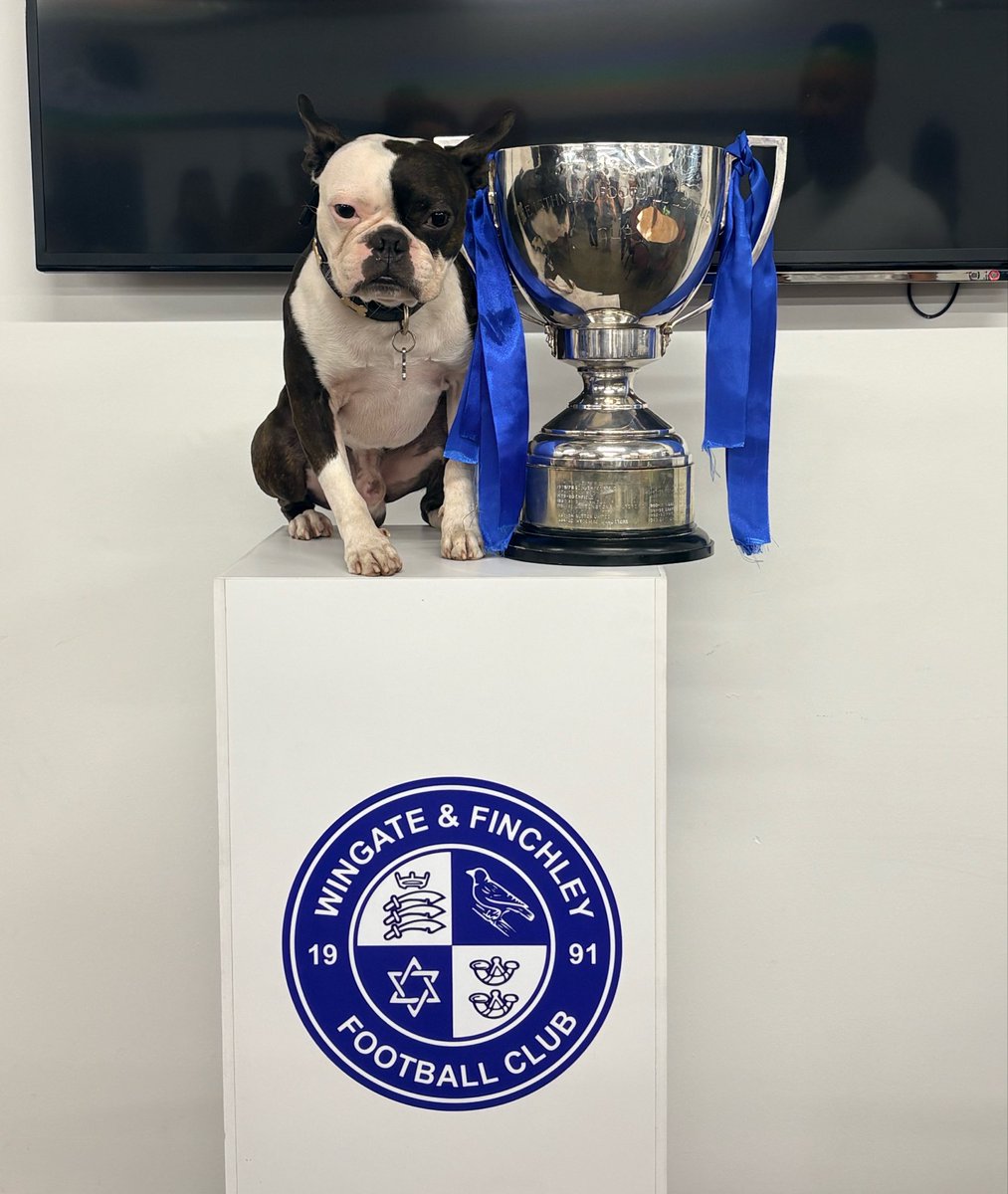 Wingate & Finchley FC tweet media