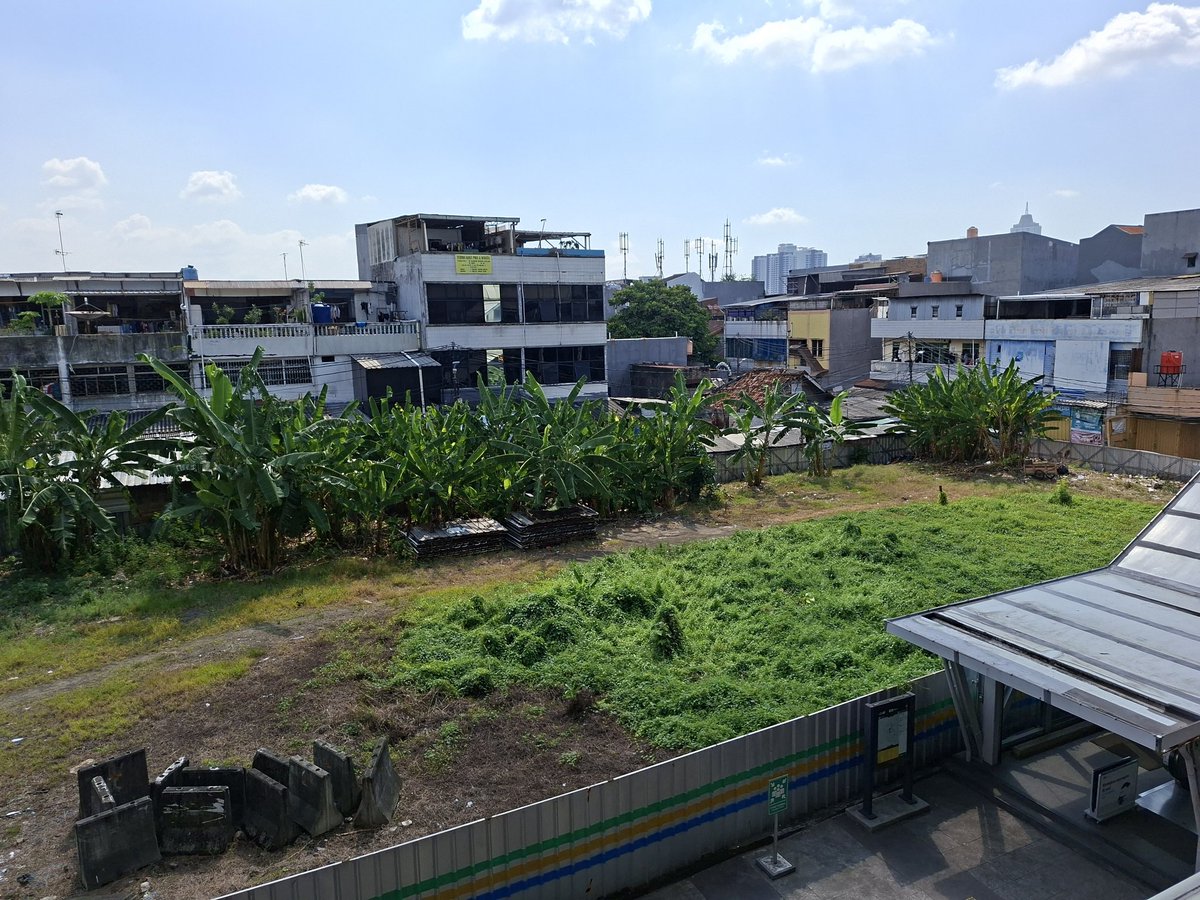 Txt Tata Kota - The Urbanist Zine tweet media