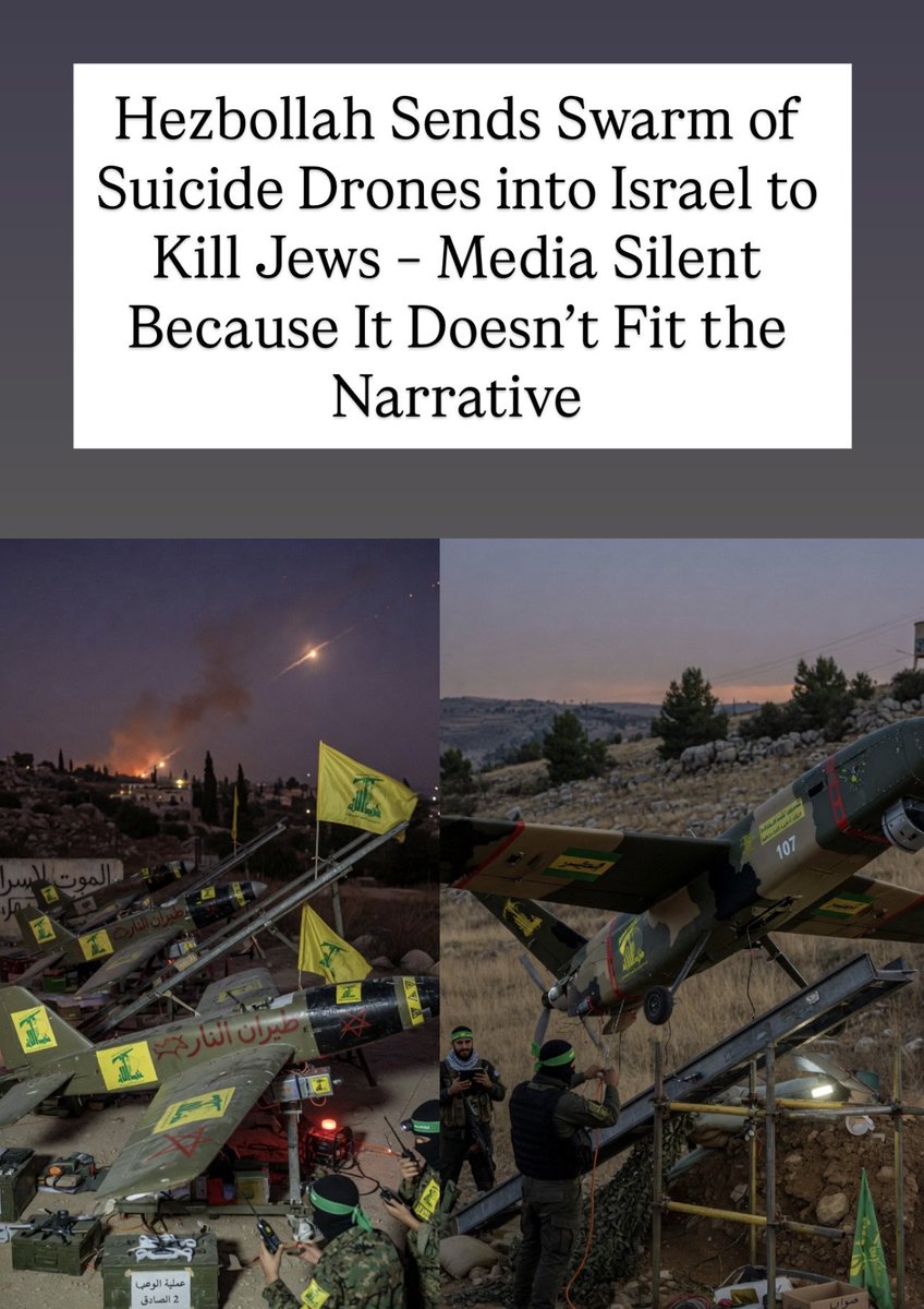 Liza Rosen tweet media