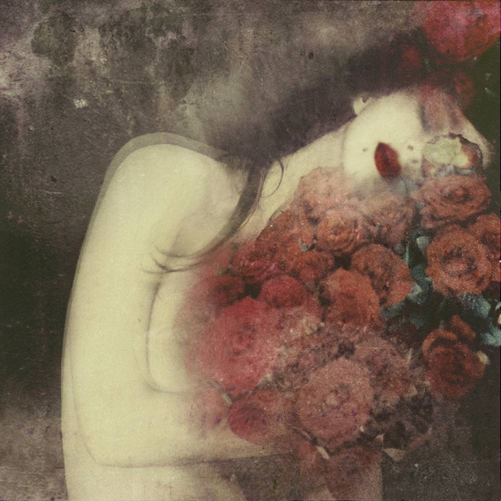 veracruz tweet media