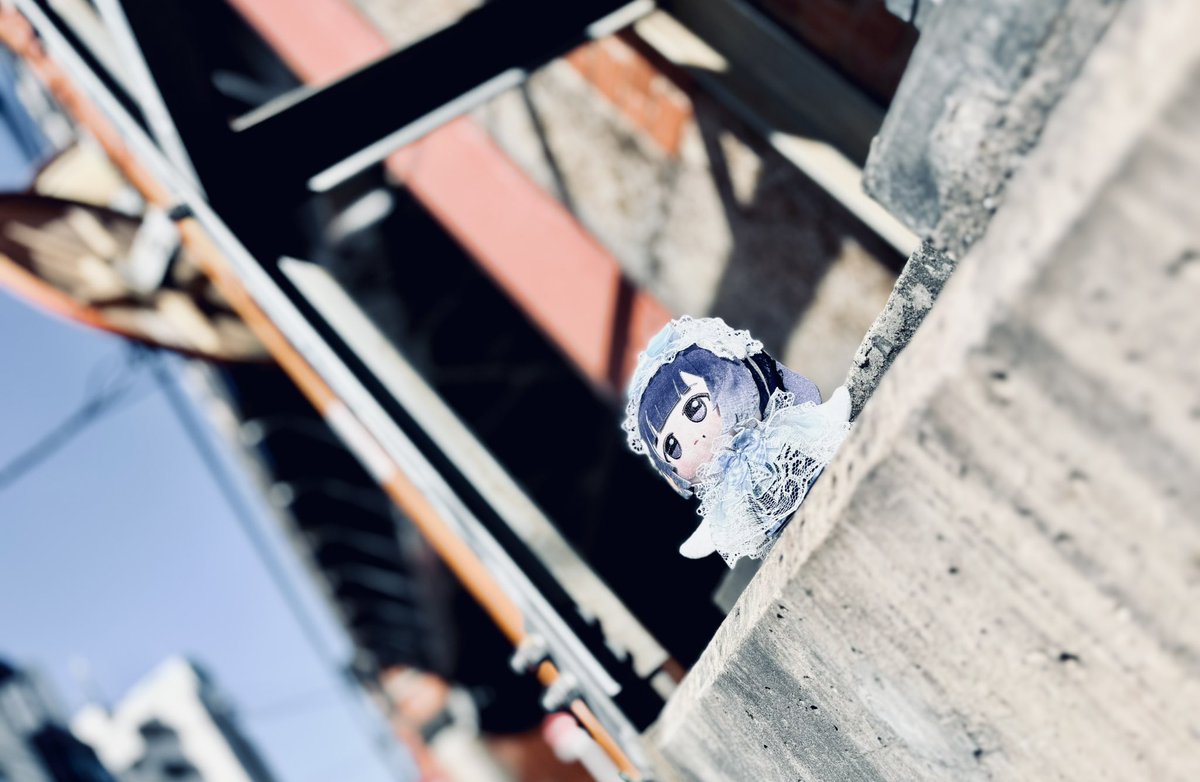 フーコー tweet media