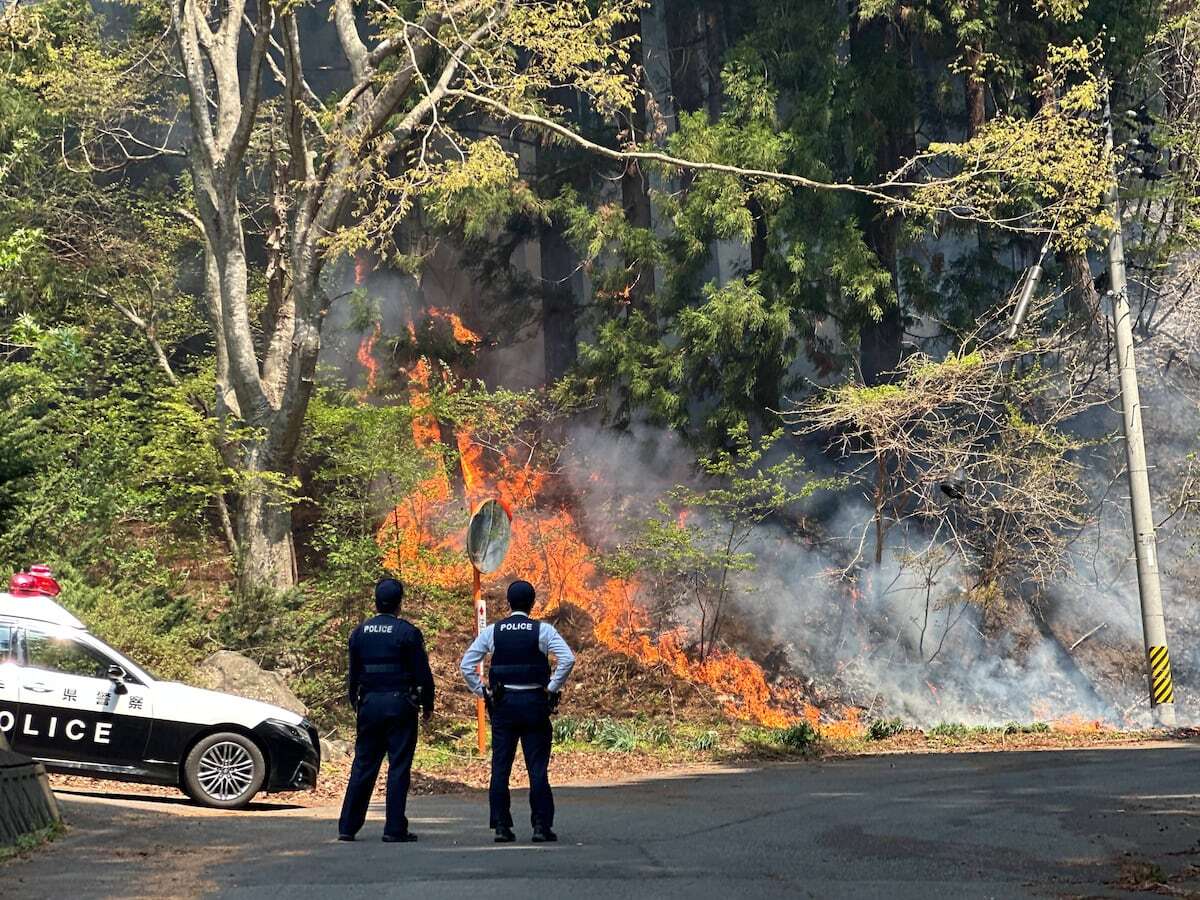 真相を暴く名もなき旅人 tweet media