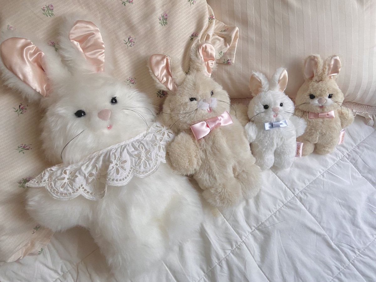 𝘈𝘬𝘪 . 𝘗𝘩𝘳𝘢𝘶𝘭𝘢* (@aki_phraula) on Twitter photo 