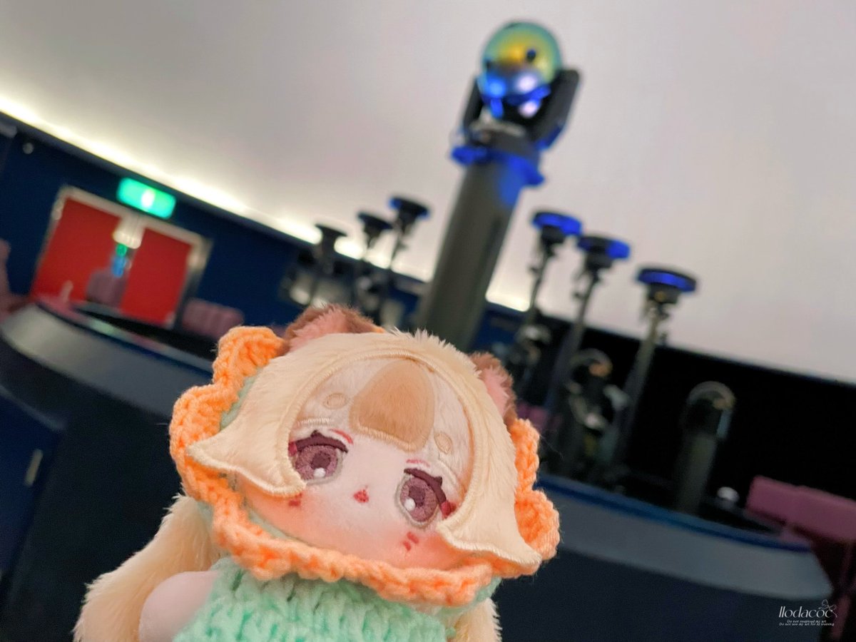 llodacoc's tweet photo. プラネタリウムすてきでしたねハムスちゃん！！

「ハムスざがはっけんされるのもじかんのもんだいだな！」

#dongurumi https://t.co/cl3zeyWJOe