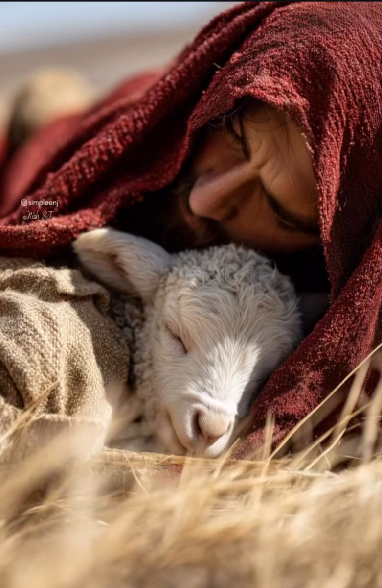 NazarethFamilia ن tweet media