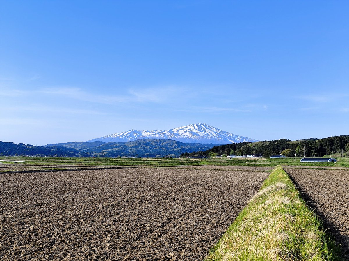 2026.04.26. 16:21 #鳥海山 酒田市松山地区にて撮影 #明日もきっといい
