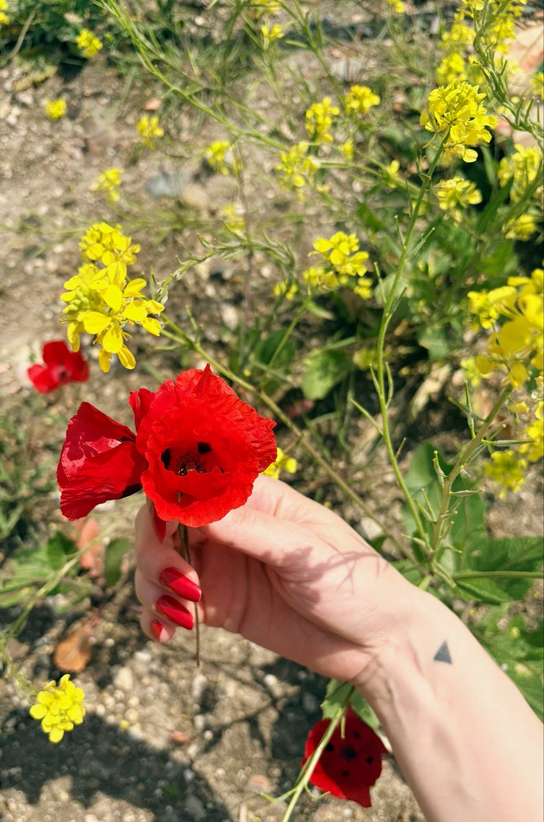 Günün renk kartelası ve anlamı..💛❤️
