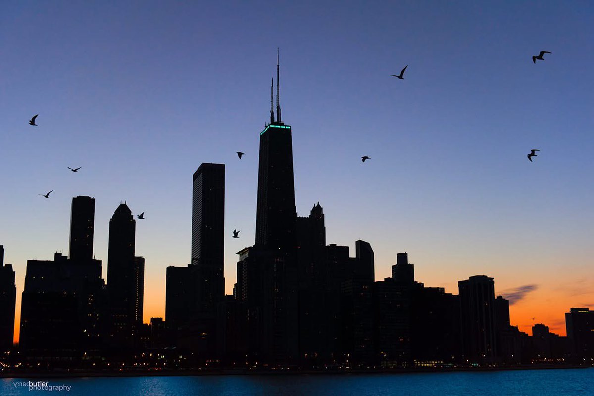 barrybutler9's tweet image. Today is National Audubon Day. #chicago