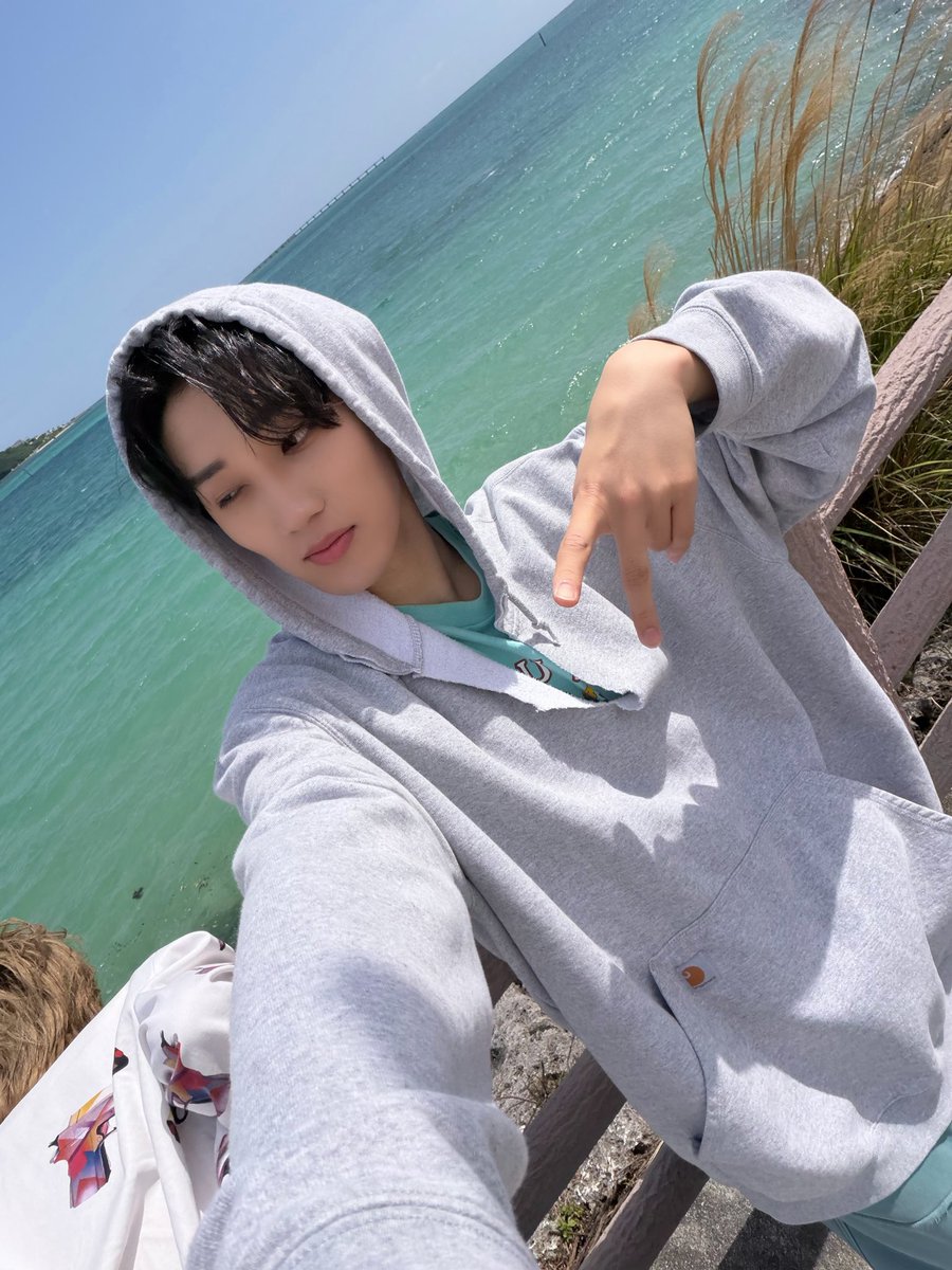 𝗪𝗜𝗟𝗗 𝗕𝗟𝗨𝗘 tweet media