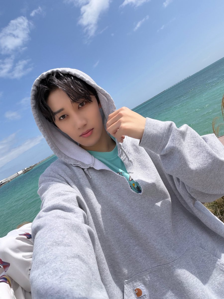 𝗪𝗜𝗟𝗗 𝗕𝗟𝗨𝗘 tweet media