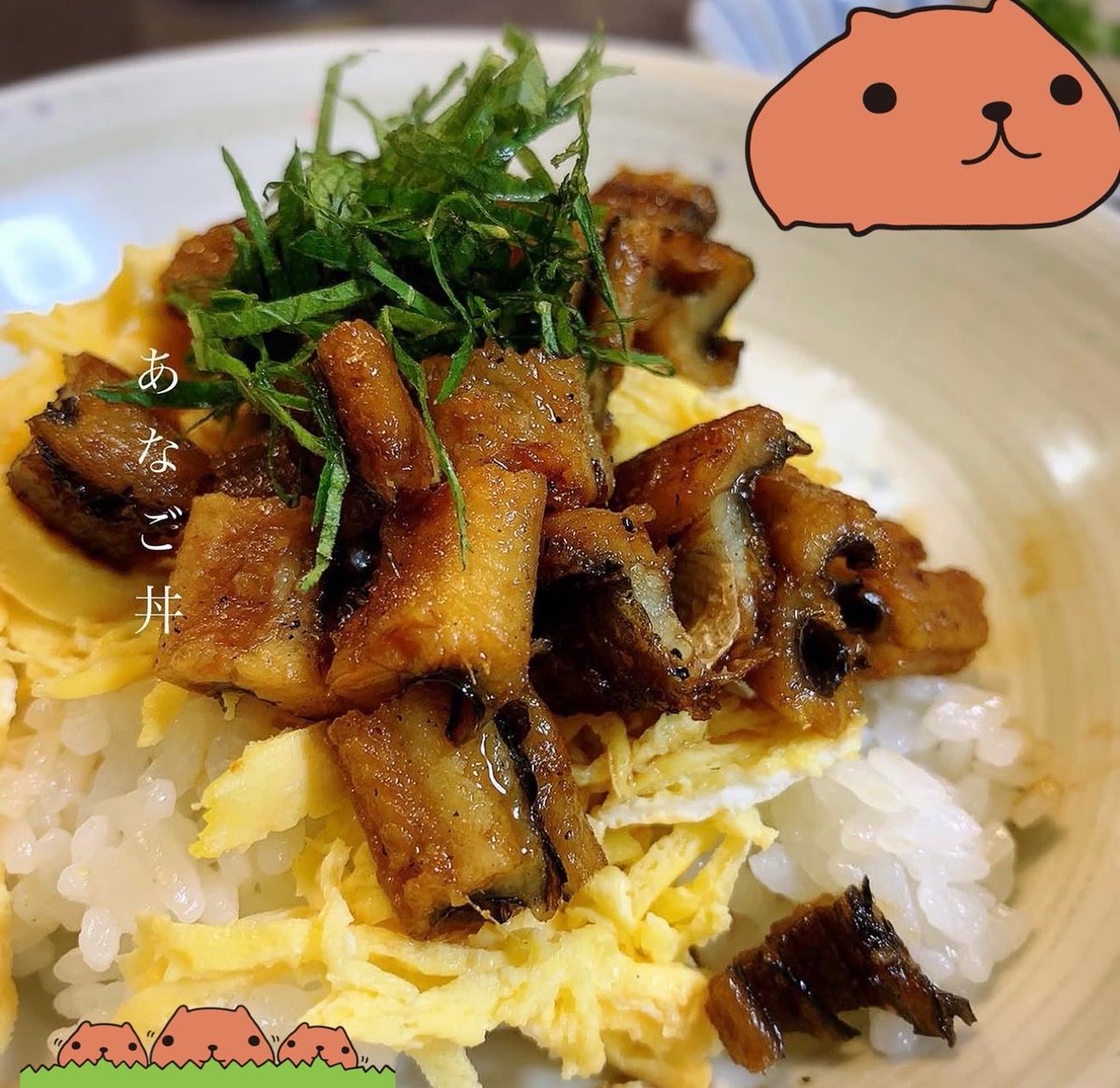 ゆりこ徒然草ちゃんねる｡🐈‍⬛🐾🌈ᵕ̈🍀✨️ tweet media