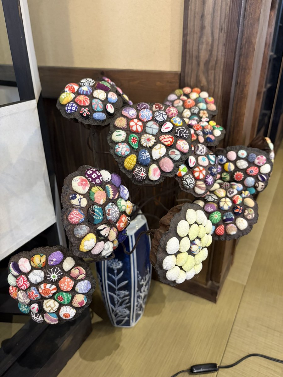 MOGU楽のみっぴー tweet media