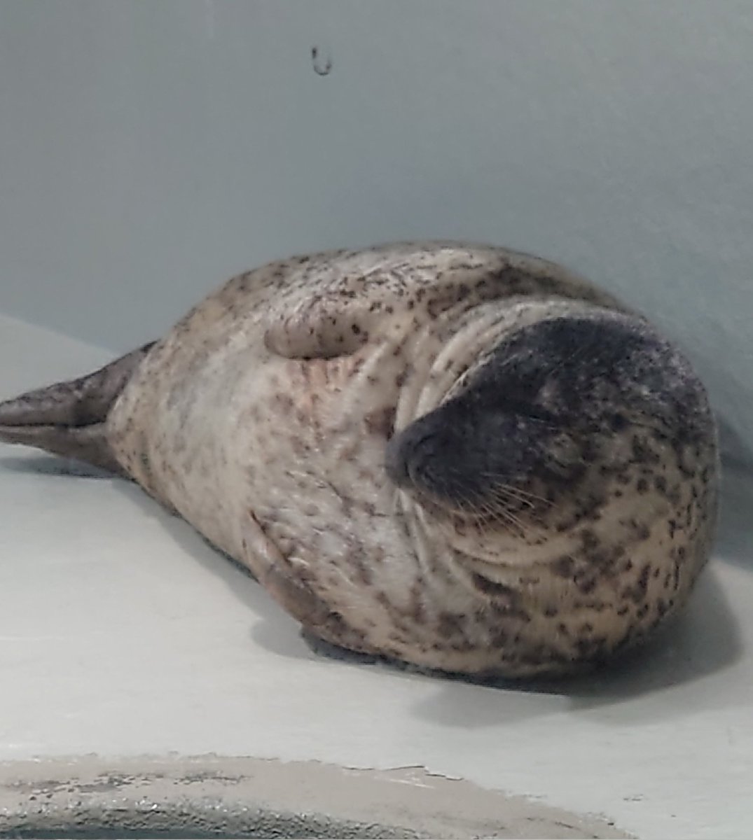 別府旅行満喫中(⁠*⁠´⁠ω⁠｀⁠*⁠)🎶🎶