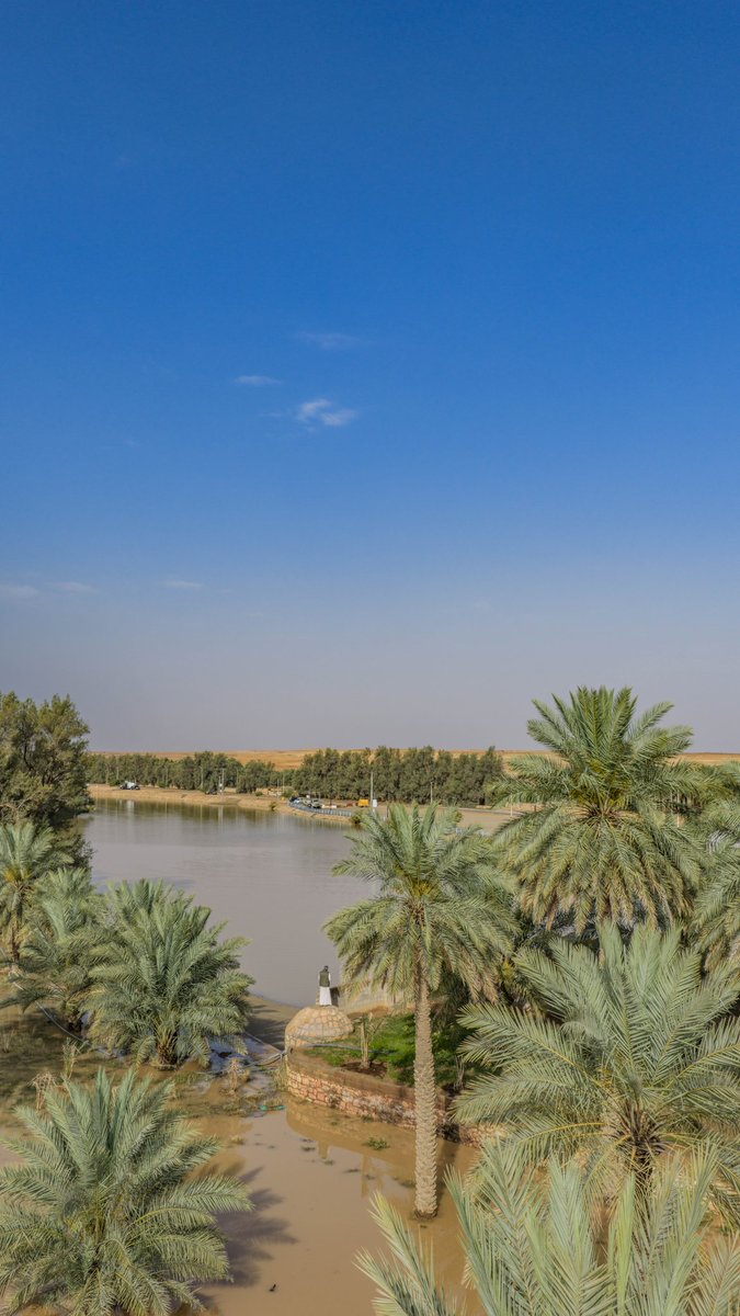 فهد tweet media