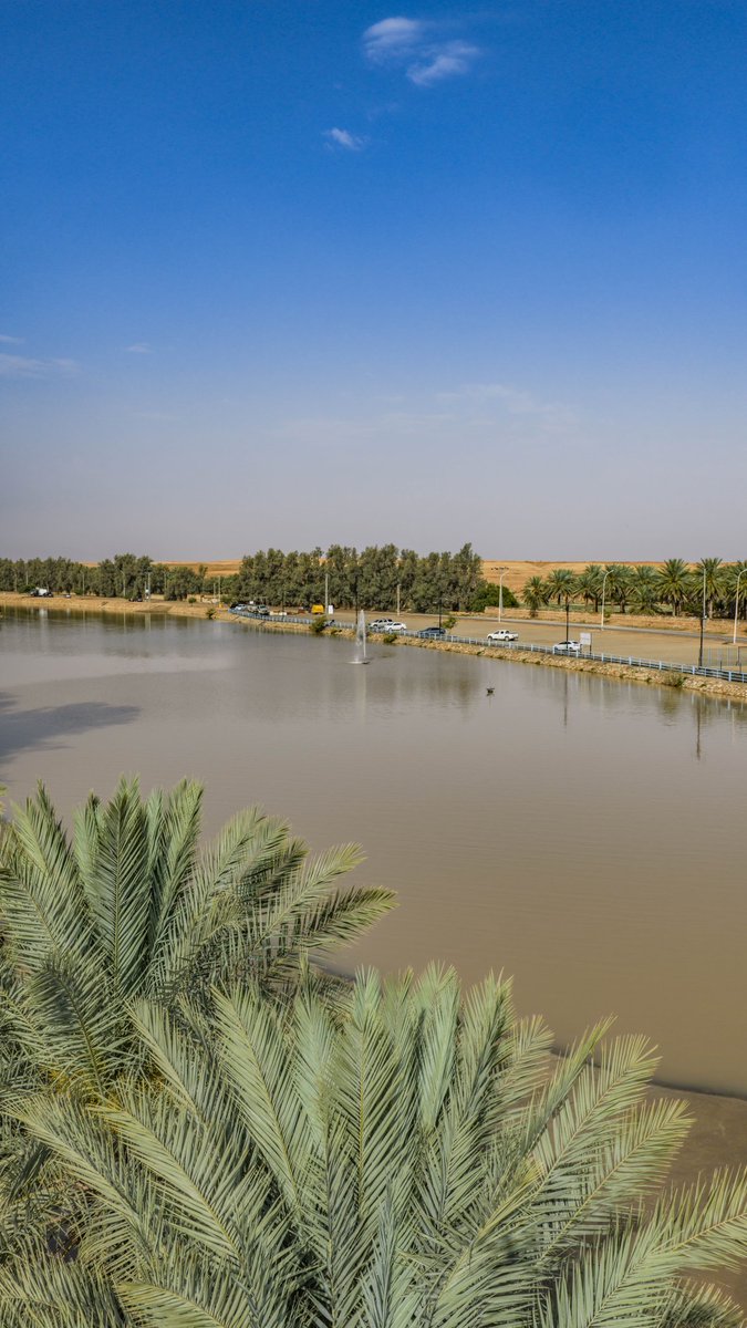 فهد tweet media