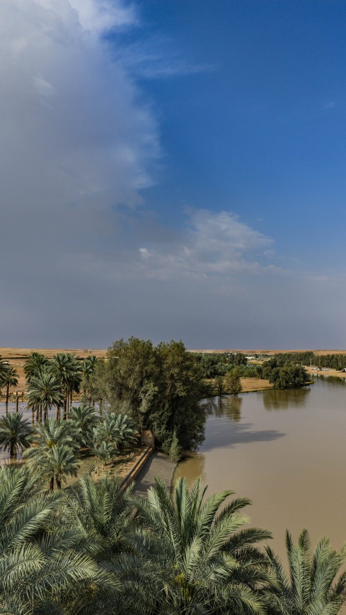 فهد tweet media