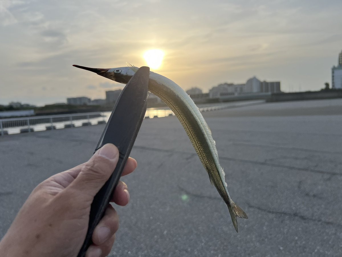 キーストン💗➰FIELD tweet media