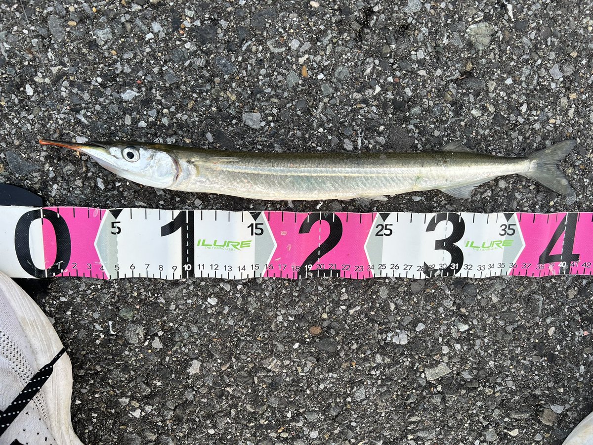 キーストン💗➰FIELD tweet media