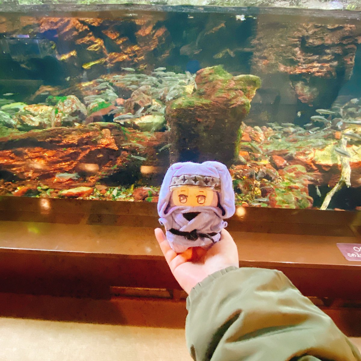 べぷ♨️の そちゃん tweet media