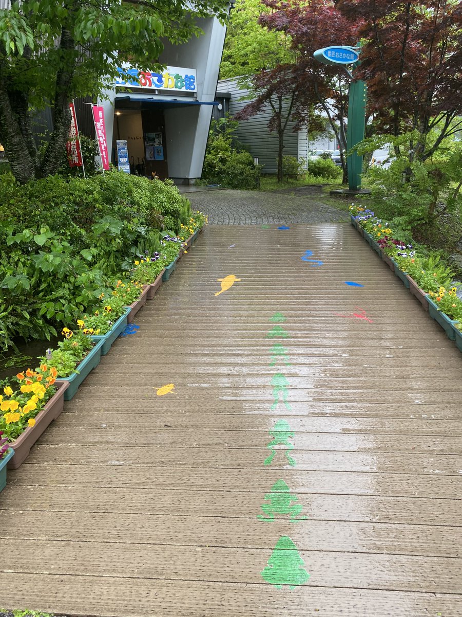 べぷ♨️の そちゃん tweet media