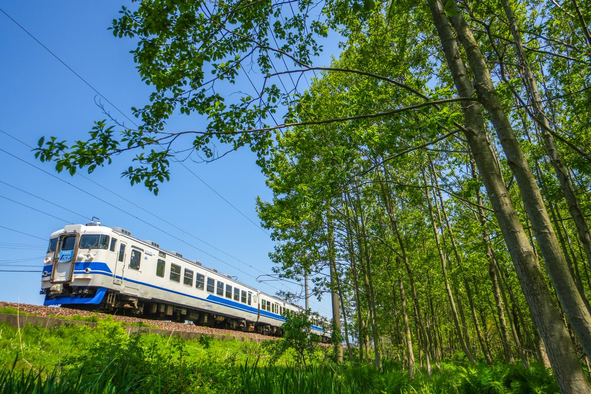 forever_saika's tweet photo. 2026年 4月26日
えちごトキめき鉄道 日本海ひすいライン
413系 455系 W01

北陸色に改め無事に春を越え新緑の季節を迎えた北陸の国鉄急行型 https://t.co/eVCcHBFAhC