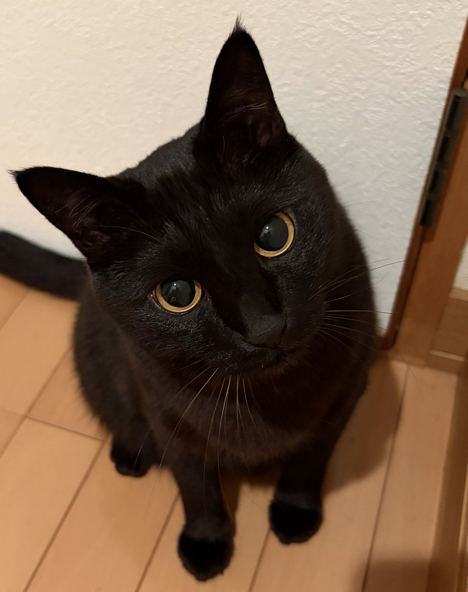 うに3才 tweet media