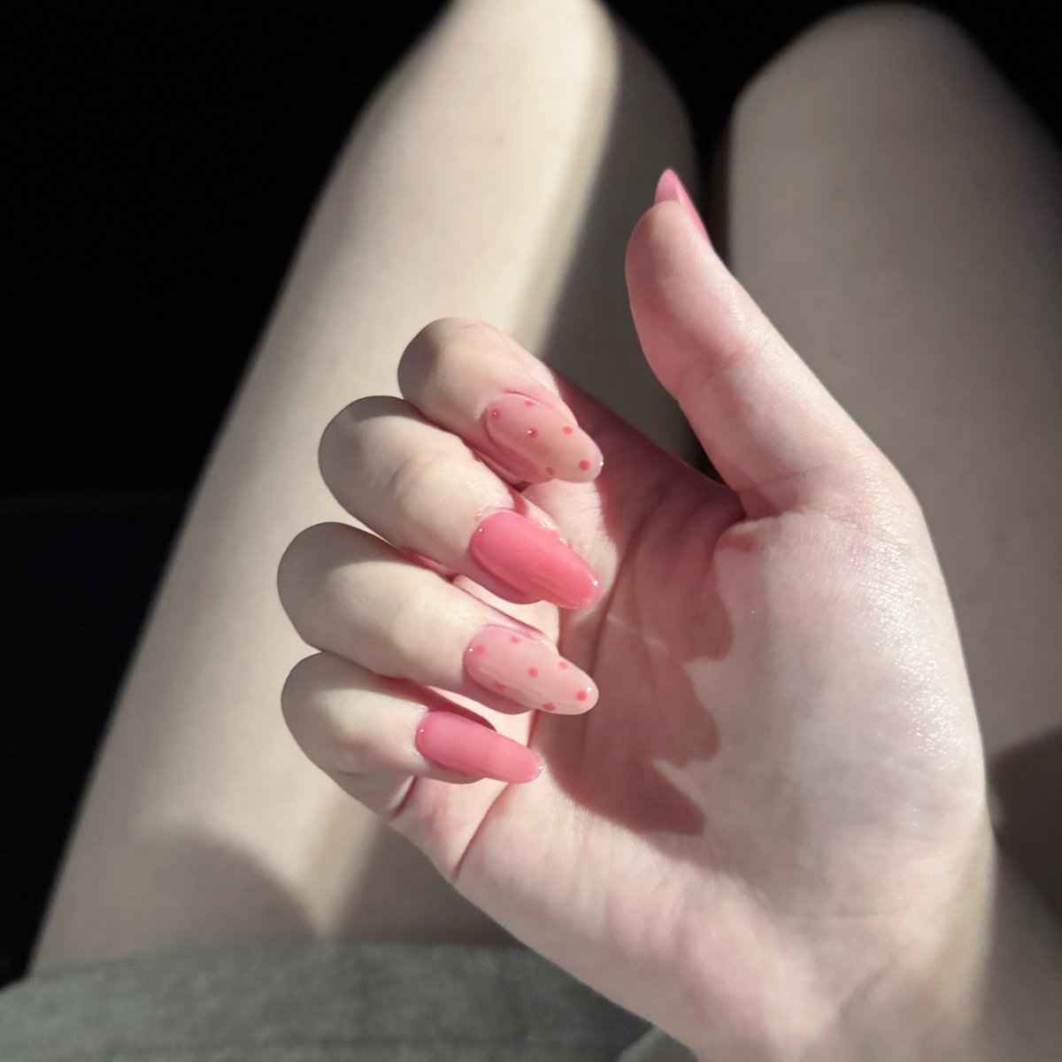 再装豆沙了！ tweet media