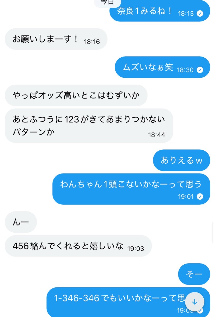 みきてぃー🐿 tweet media