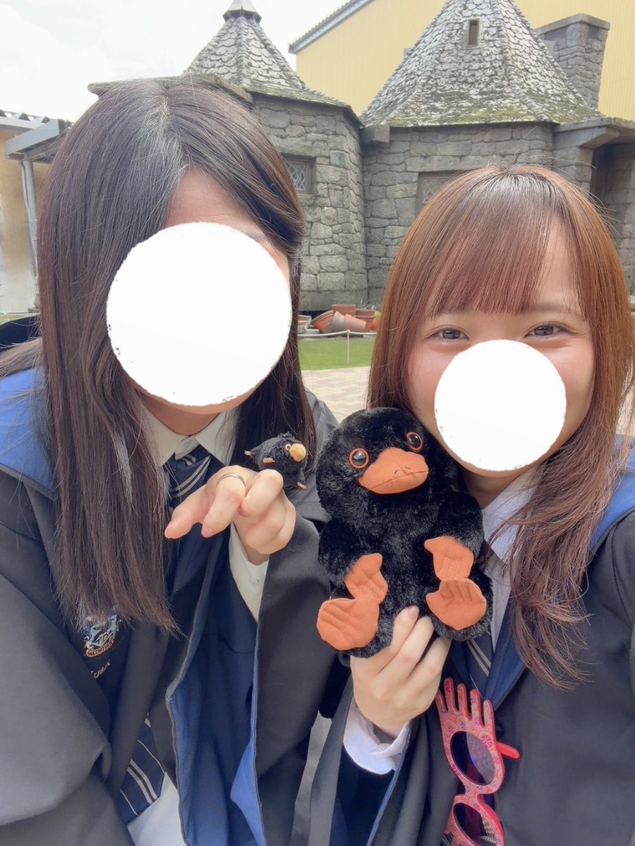 モーリア 🦅 tweet media