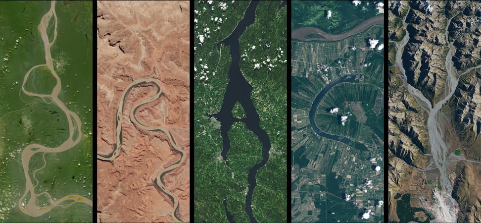 Gracyyyy 🌻 tweet media