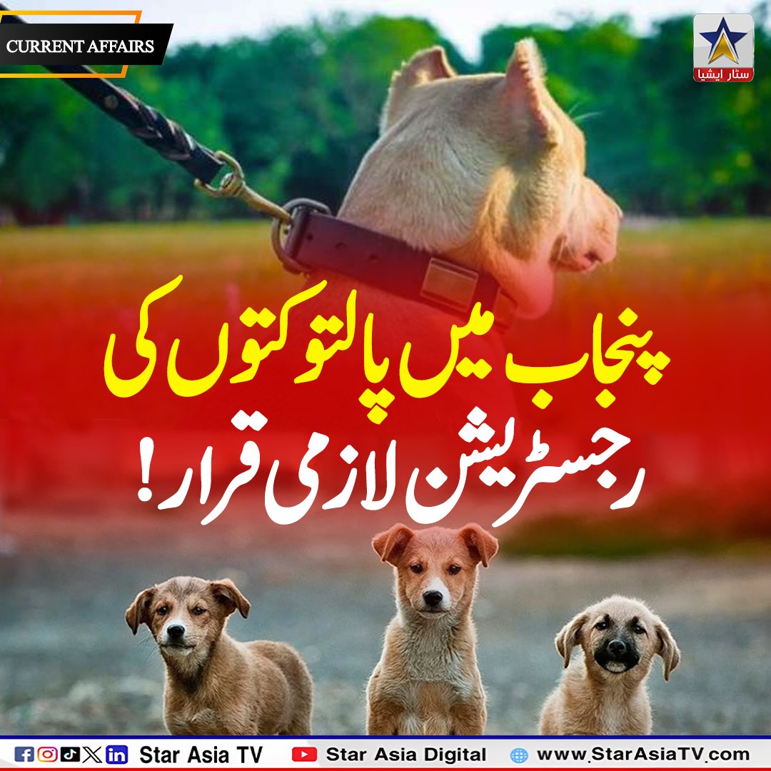 StarAsiatvHD's tweet image. Pet Dog Registration Made Mandatory in Punjab Under New Policy | Star Asia TV
.
.
.
.
.
.
#Punjab #PetDogs #Registration #BreakingNews #AnimalLaws #PakistanNews #PetOwners #PolicyUpdate #PublicSafety #Animals #TrendingNow #NewsUpdate #CurrentAffairs #ViralNews #regulations
