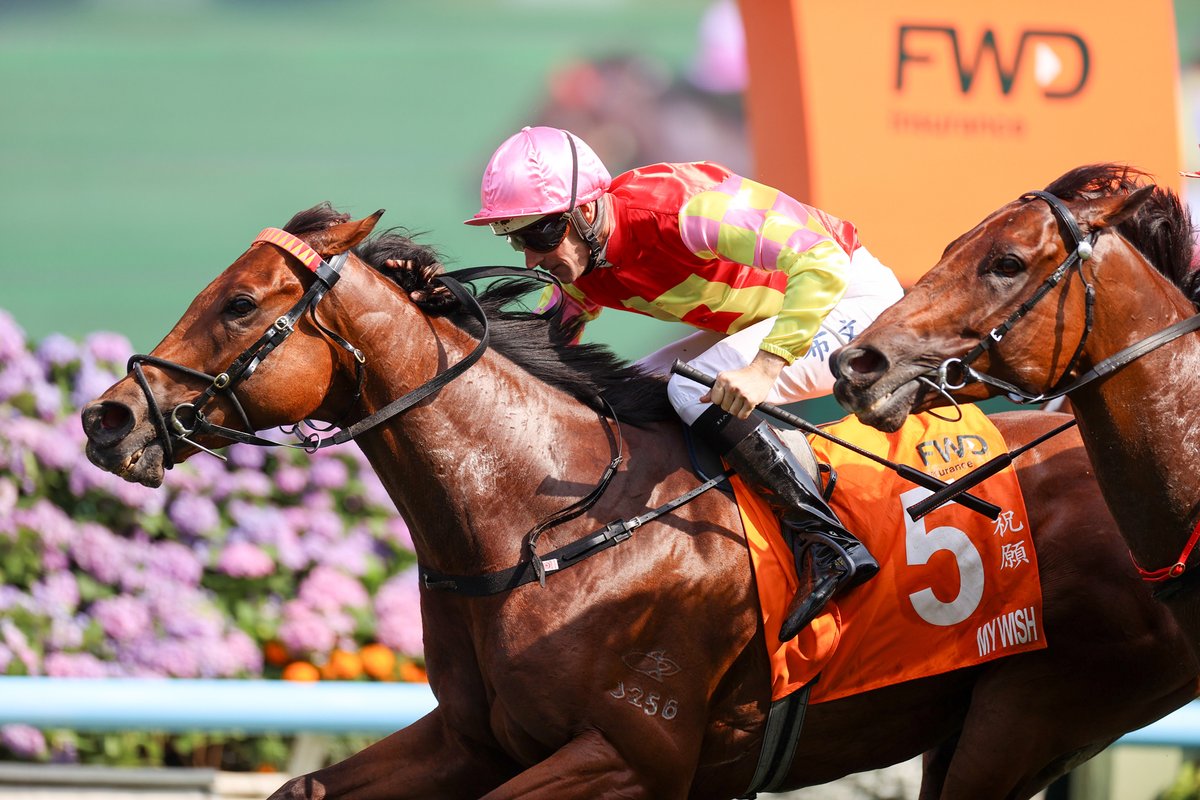 HKJC_Racing's tweet photo. My Wish gives Mark Newnham Group 1 breakthrough in FWD Champions Mile. #FWDChampionsDay #HKracing 

@SchusterDeclan writes. 

Read here 👉 https://t.co/lmZvMKuq7T https://t.co/Pa7fDUzlWm