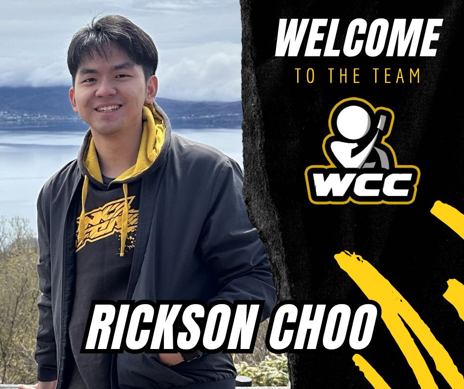 WCC | Wirab Cardfight Consulting tweet media