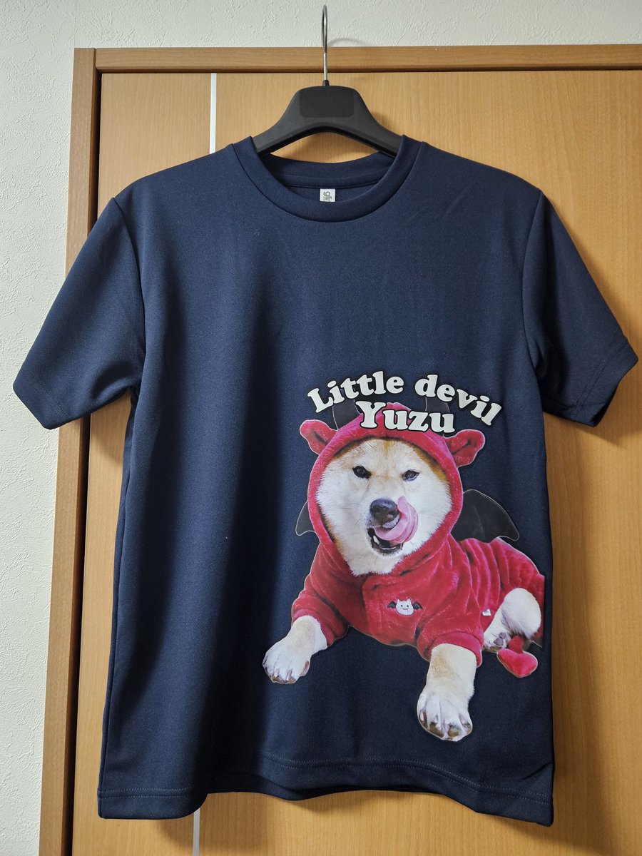 ⭐ゆずちゃん様オーダー(柴犬3段)＋2点♥️DIY♥️--167・173・176 Surprise] Two Shiba Inu dogs make a surprise visit to grandma's
