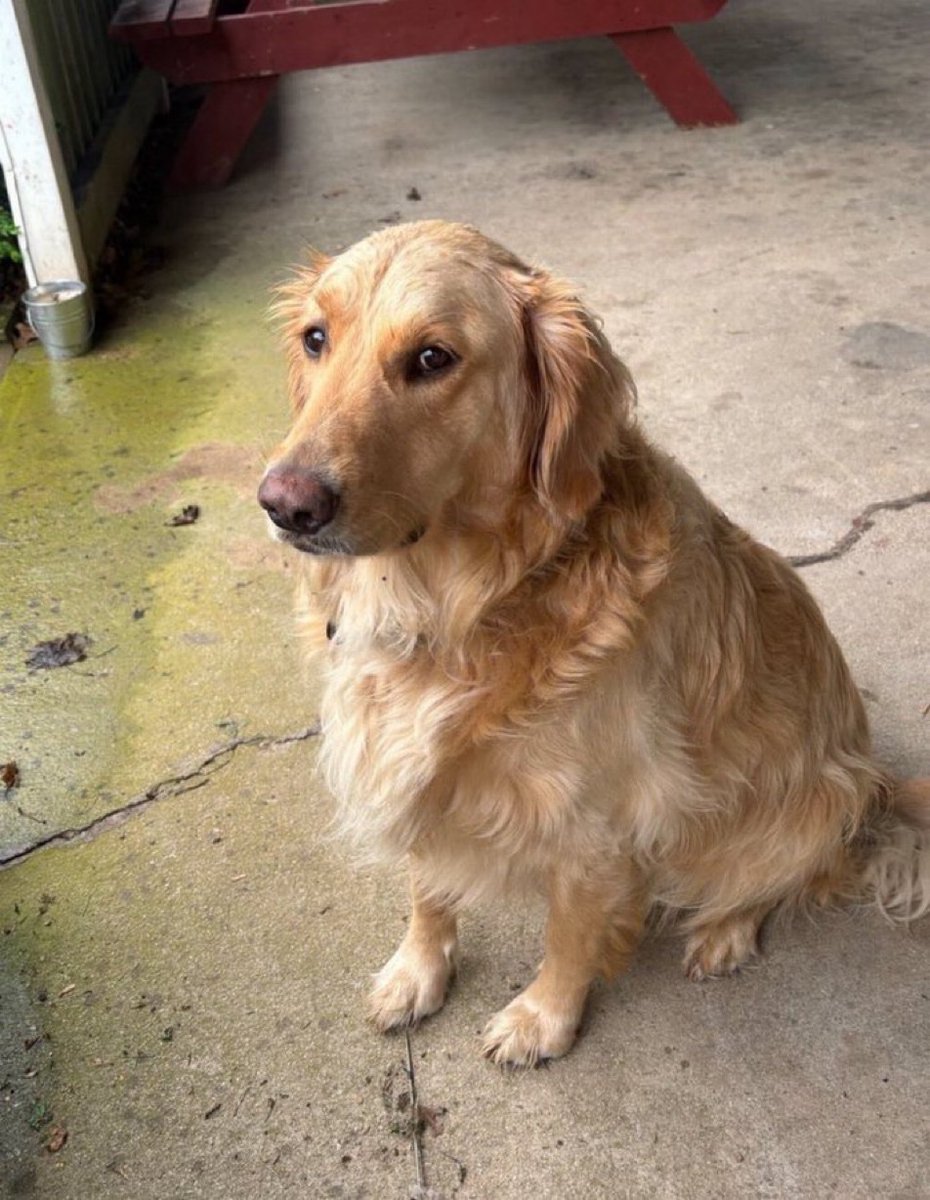 𝐌𝐚𝐭𝐭 𝐏𝐢𝐧𝐧𝐞𝐫 tweet media