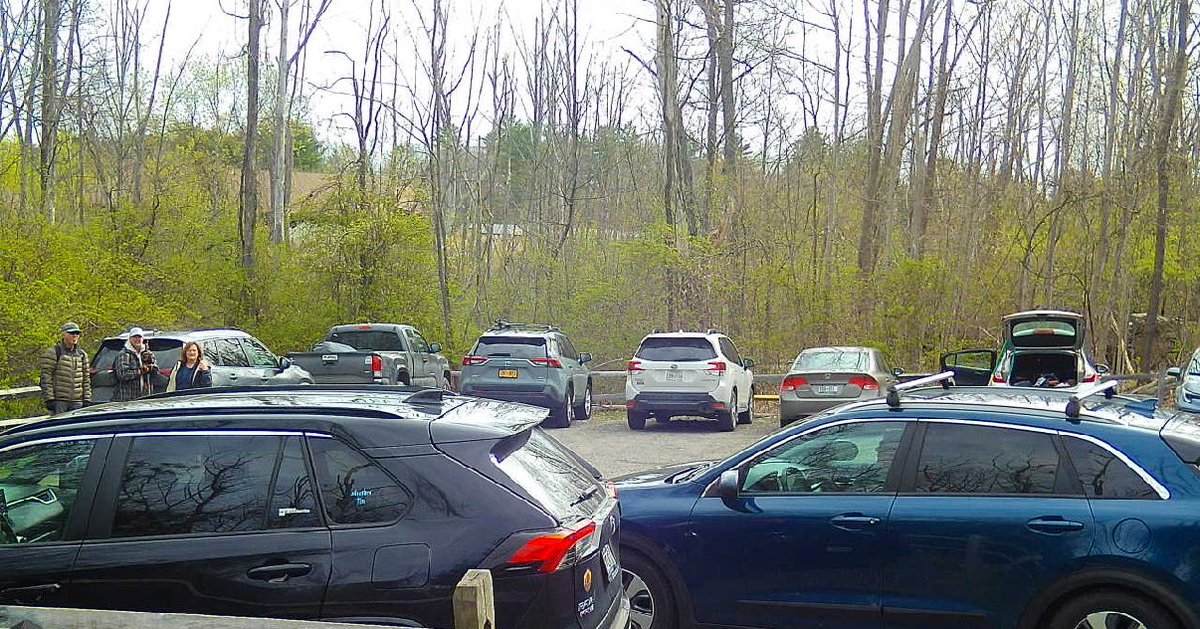 Dave Fleming tweet media