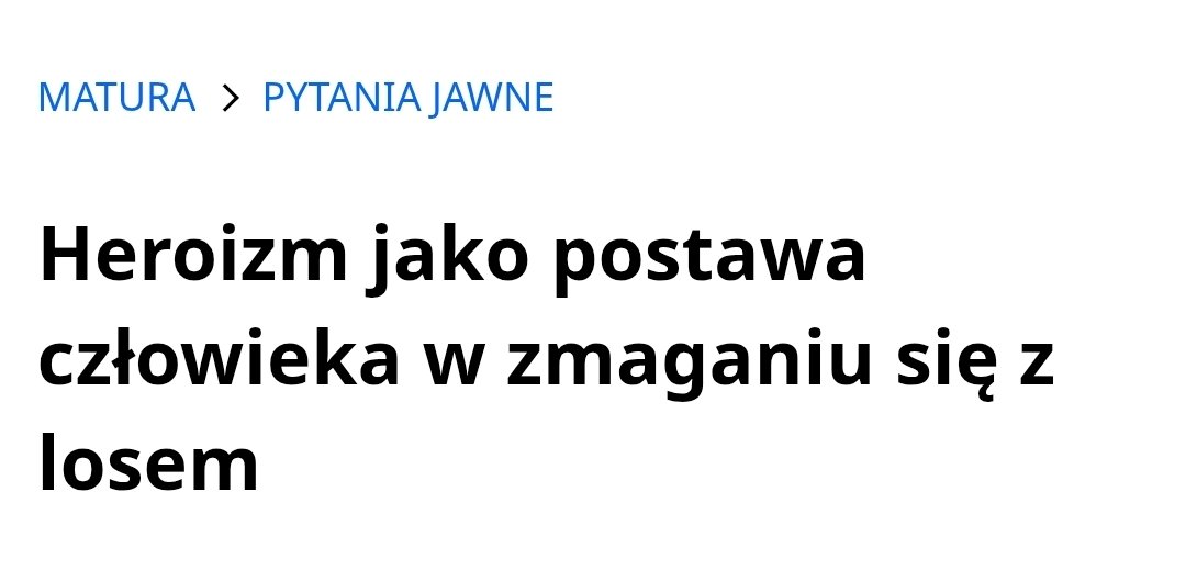 zala saw skz tweet media