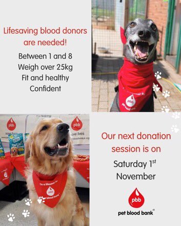 Professor_pnf's tweet image. Pet Blood Bank urgently needs donor dogs as their blood stocks are low!

📍Next donor session at Fitzpatrick Referrals, Godalming (Surrey)
📅 Sat 1 November

Register / find a session &amp;gt; petbloodbankuk.org/dogs

🩸🐶 Please share &amp;amp; help save lives ❤️
#donateblood
