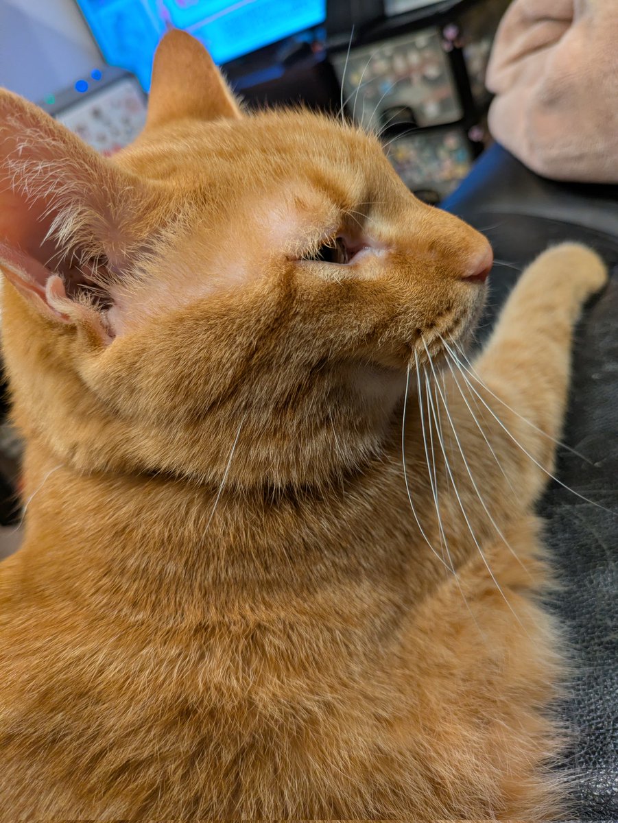 夜長 月虹（よながこう）＠小説家になろう tweet media