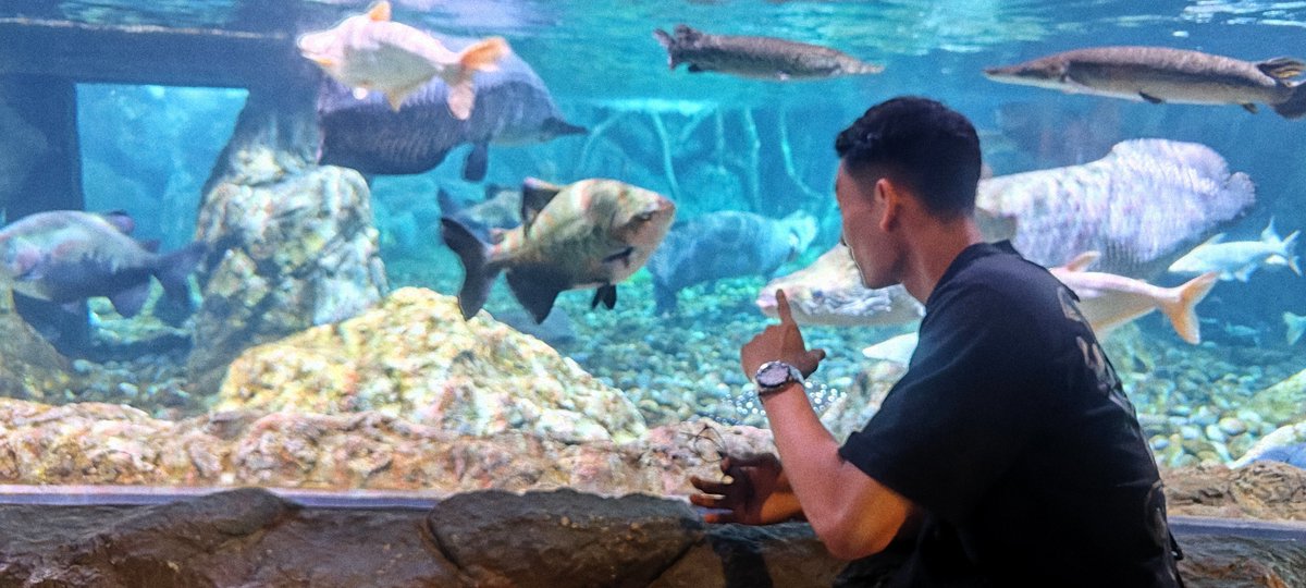 Nih contohnya ikan bawel, lagi tak omongin biar ga bawel 🙂