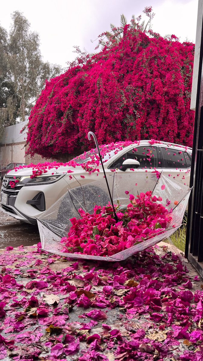 ‏♯̶ ᷂غنيد tweet media