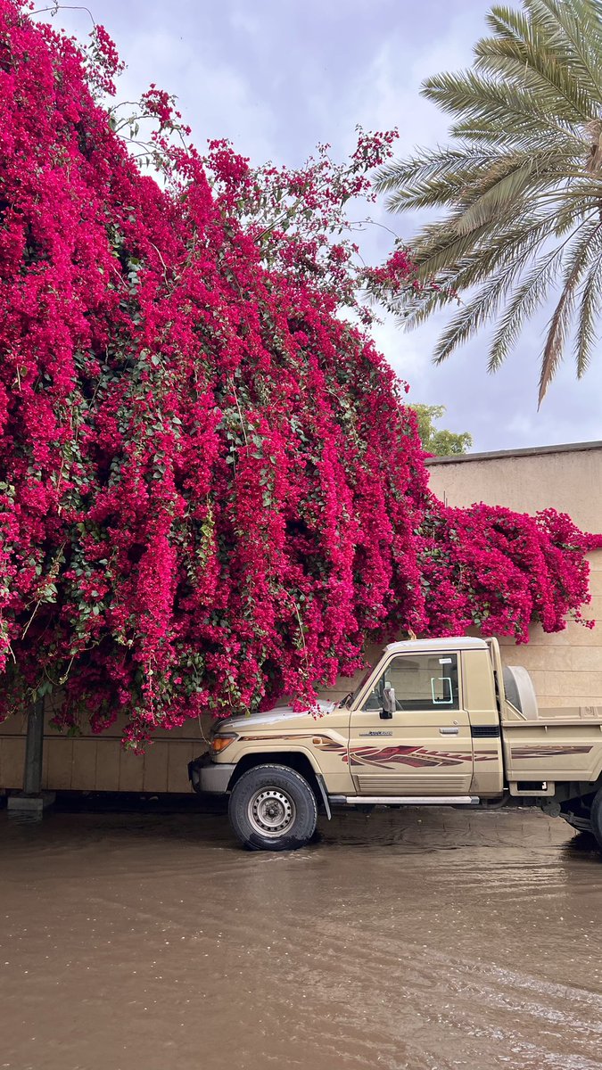 ‏♯̶ ᷂غنيد tweet media