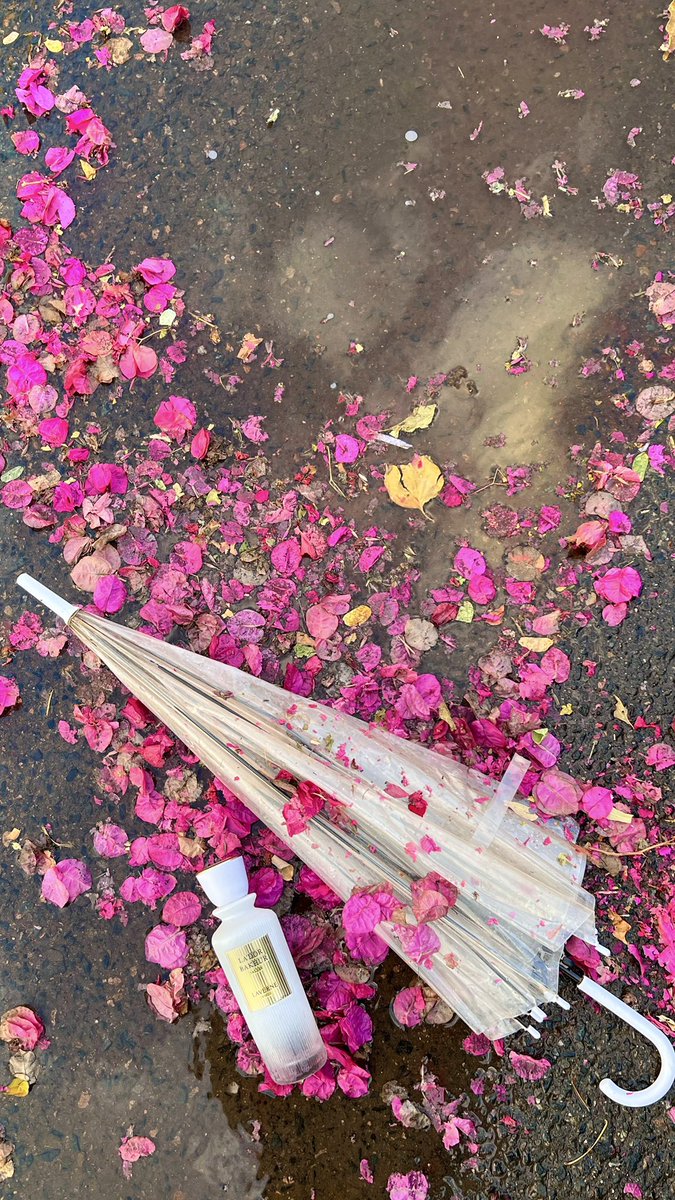 ‏♯̶ ᷂غنيد tweet media