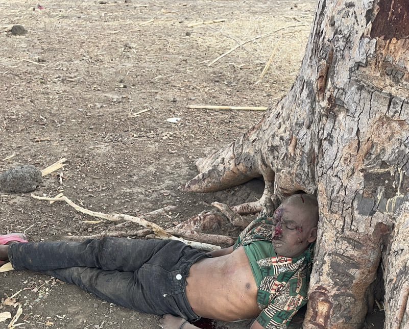 INSIGHT BY OPPY MEDIA tweet media