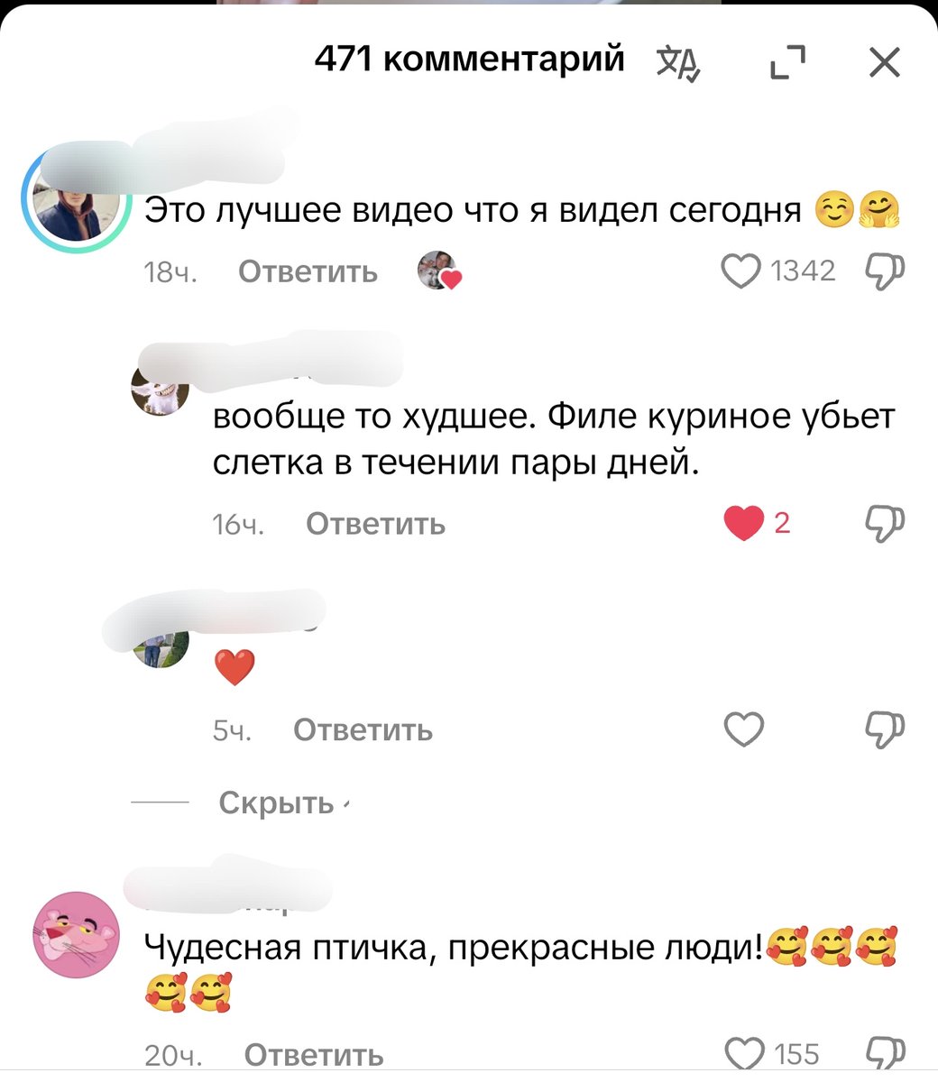 bỉdyyy𓆃 tweet media